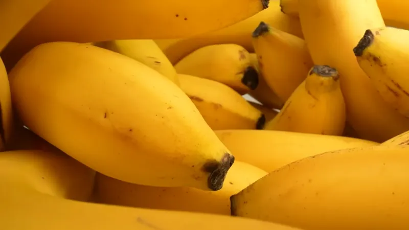 A Bunch of Ripe Bananas