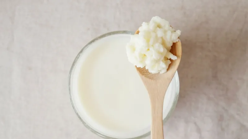 A glass of kefir with kefir grains on a wooden spoon